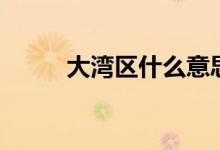 大湾区什么意思（什么是大湾区）