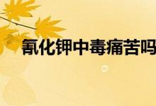 氰化钾中毒痛苦吗（氰化钾中毒痛苦吗）