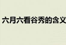六月六看谷秀的含义（六月六看谷秀啥意思）