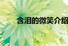 含泪的微笑介绍（讲解含泪的微笑）