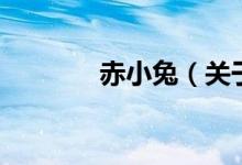 赤小兔（关于赤小兔的介绍）