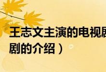 王志文主演的电视剧（关于王志文主演的电视剧的介绍）