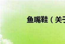 鱼嘴鞋（关于鱼嘴鞋的介绍）