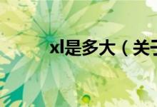 xl是多大（关于xl是多大的介绍）