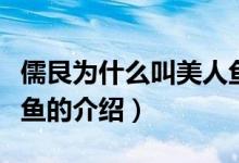 儒艮为什么叫美人鱼（关于儒艮为什么叫美人鱼的介绍）