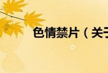 色情禁片（关于色情禁片的介绍）