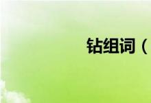 钻组词（钻组词解释）