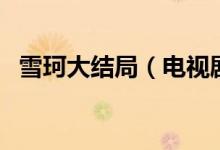 雪珂大结局（电视剧雪珂的大结局是什么）