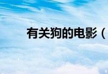 有关狗的电影（关于狗的电影推荐）