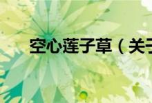 空心莲子草（关于空心莲子草的介绍）