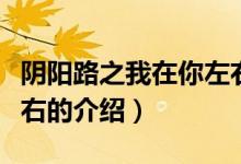 阴阳路之我在你左右（关于阴阳路之我在你左右的介绍）