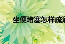坐便堵塞怎样疏通（马桶堵了怎么通）