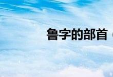 鲁字的部首（鲁字怎么组词）