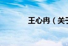 王心冉（关于王心冉的介绍）