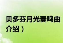 贝多芬月光奏鸣曲（关于贝多芬月光奏鸣曲的介绍）