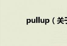 pullup（关于pullup的介绍）