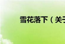 雪花落下（关于雪花落下的介绍）