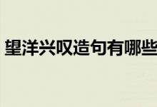 望洋兴叹造句有哪些（怎么用望洋兴叹造句）