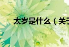 太岁是什么（关于太岁是什么的介绍）
