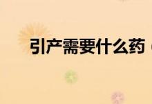 引产需要什么药（引产需要什么证明）