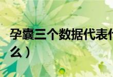 孕囊三个数据代表什么（孕囊三个数据代表什么）