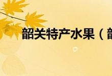 韶关特产水果（韶关特产水果的介绍）