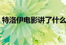 特洛伊电影讲了什么（电影特洛伊内容简介）