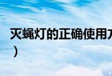 灭蝇灯的正确使用方法（灭蝇灯如何正确使用）