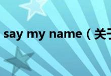 say my name（关于say my name的介绍）