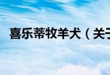 喜乐蒂牧羊犬（关于喜乐蒂牧羊犬的介绍）