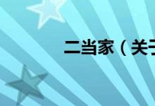 二当家（关于二当家的介绍）