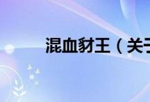 混血豺王（关于混血豺王的介绍）