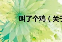 叫了个鸡（关于叫了个鸡的介绍）