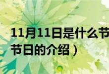 11月11日是什么节日（关于11月11日是什么节日的介绍）