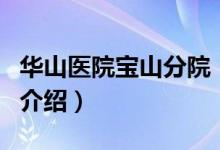 华山医院宝山分院（关于华山医院宝山分院的介绍）