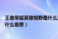 王者荣耀英雄视野是什么意思（王者荣耀辅助英雄做视野是什么意思）