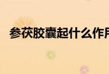 参茯胶囊起什么作用（参茯胶囊的副作用）