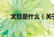 文旦是什么（关于文旦是什么的介绍）