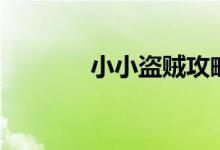 小小盗贼攻略（是什么剧情）