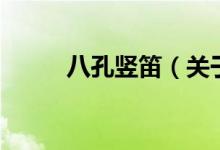 八孔竖笛（关于八孔竖笛的介绍）