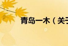 青岛一木（关于青岛一木的介绍）