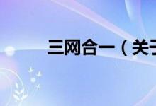三网合一（关于三网合一的介绍）