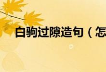 白驹过隙造句（怎么用白驹过隙造句呢）