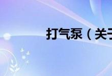 打气泵（关于打气泵的介绍）