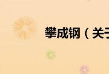 攀成钢（关于攀成钢的介绍）