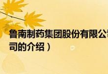 鲁南制药集团股份有限公司（关于鲁南制药集团股份有限公司的介绍）