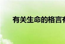 有关生命的格言有什么（生命的格言）
