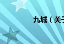 九城（关于九城的介绍）