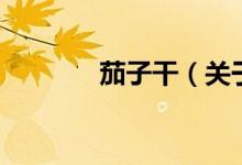 茄子干（关于茄子干的介绍）