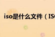 iso是什么文件（ISO格式文件特点是什么）